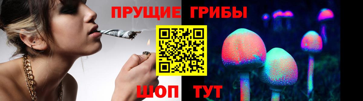 Псилоцибиновые грибы прущие грибы  Вход с VPN  Качканар 